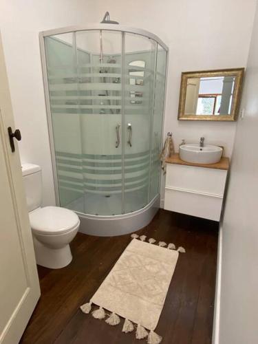 a bathroom with a shower and a toilet and a sink at Homey Beach Cottage with Spa, walk to beach in Cowes