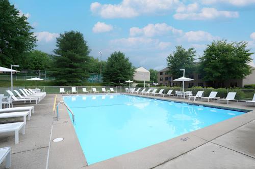 a large swimming pool with white chairs and umbrellas at Cozy private getaway. Close to Convention Center and Medical Centers in Monroeville