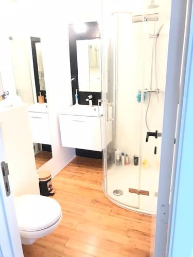 a bathroom with a shower and a toilet and a sink at Appartement proche grand place in Brussels