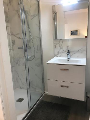 une salle de bain avec un lavabo et une douche dans l'établissement Studio terrasse rue piétonne Ajaccio, à Ajaccio