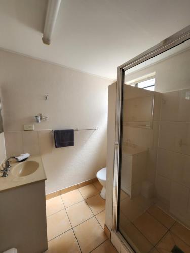 a bathroom with a shower and a sink and a toilet at Nanango Star Motel in Nanango