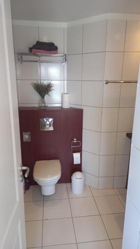 een kleine badkamer met een toilet en een plant bij Appartement avec piscine Anse Vata Nouméa in Noumea