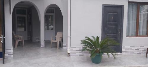 Gallery image of Gio's Guest House in Batumi