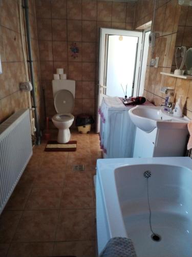 a bathroom with a toilet and a sink and a tub at Pensiunea Sara in Dâmbovicioara
