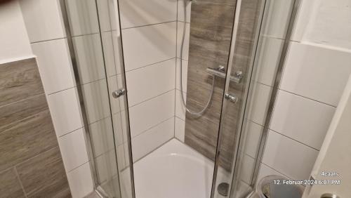 a shower with a glass door in a bathroom at Voll ausgestattet, Nähe Heiltherme Bad Waltersdorf in Ebersdorf