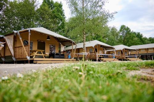 a row of tents with trees in the background at Glamping Nieuw Heeten in Nieuw-Heeten