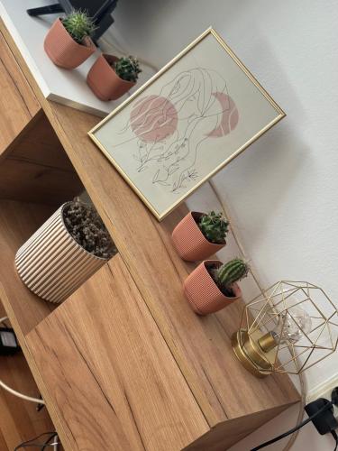 a shelf with potted plants and a picture on it at Mia’s duplex apartment in Skopje