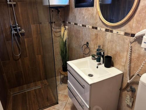 een badkamer met een wastafel, een douche en een spiegel bij Elixír Guest House in Izvoare