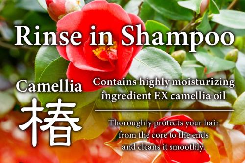 a picture of a red flower with the words rise in shanghai at Kameari 1003 Budget Stay High Floor Near Station Mall Disney Access in Tokyo