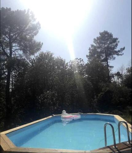 une grande piscine avec des arbres en arrière-plan dans l'établissement Maison Bois, à Sergeac