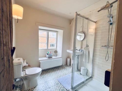 uma casa de banho com um WC e uma cabina de duche em vidro. em Large room in Stunning Cottage Edge of the Cotswolds em Bloxham