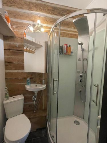 ein Bad mit einer Dusche, einem WC und einem Waschbecken in der Unterkunft Margus rentals in Võru