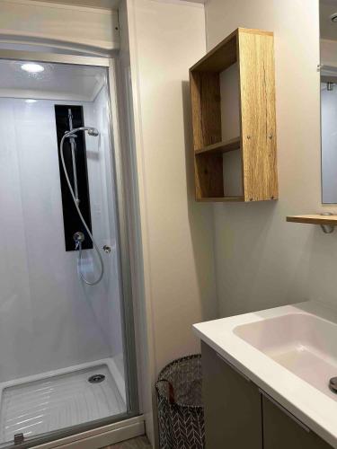 une salle de bain avec douche et lavabo dans l'établissement De La Terre A Locean, à Saint-Brévin-les-Pins
