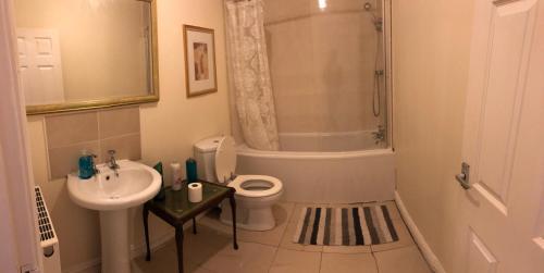 een badkamer met een wastafel, een toilet en een douche bij Jacks Court B4c in Stalybridge
