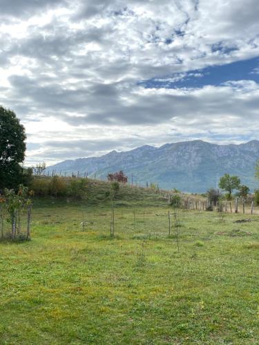 un champ d'herbe avec des montagnes en arrière-plan dans l'établissement Matija, à Nikšić