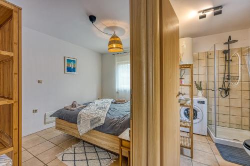 1 dormitorio con 1 cama y baño con ducha en Mare Et Terra, en Kaštelir