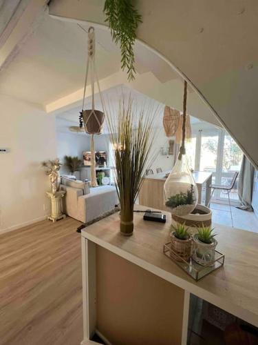 un salon avec une table avec des plantes dessus dans l'établissement Ivissa cosy calme y confortable, à Canet