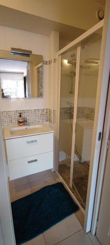 une salle de bain avec un lavabo et une douche dans l'établissement Studio résidence Tennis Village Cap D’Agde, au Cap d'Agde
