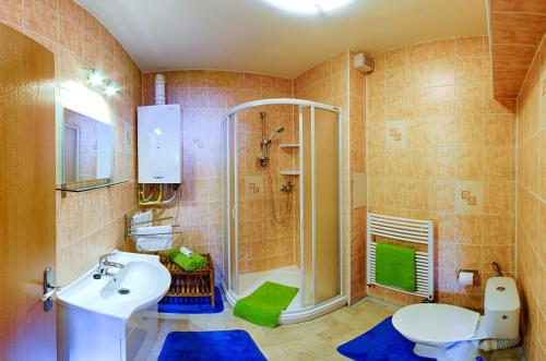 a bathroom with a shower and a sink and a toilet at Apartment Marketa in Pec pod Sněžkou