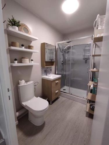 une salle de bain avec une douche, des toilettes et un lavabo dans l'établissement résidence hyper centre parking indigo inclus à 50m, à Dieppe