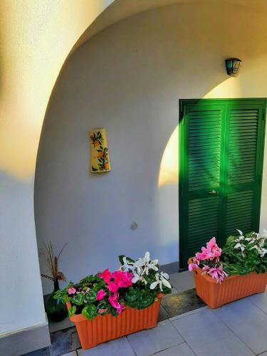 Zahrada ubytování Lemon Tree casa vacanze nel verde