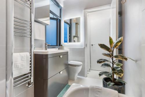 een badkamer met een wastafel, een toilet en een spiegel bij Modern Double bedroom in city apartment room 1 in Londen