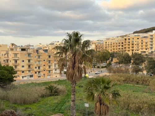 una palmera frente a un edificio en Paradise 4, en Żebbuġ