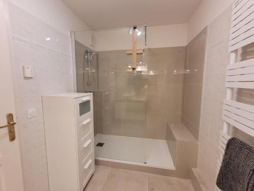 une salle de bain avec douche et douche à l'italienne dans l'établissement Bel appartement 2 chambres proche plage et golfs by Beds83, à Saint-Raphaël
