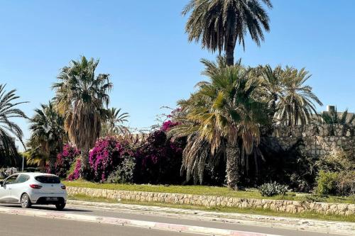Ảnh trong thư viện ảnh của Monastir Bord de Mer Palais Présidentiel ở Monastir