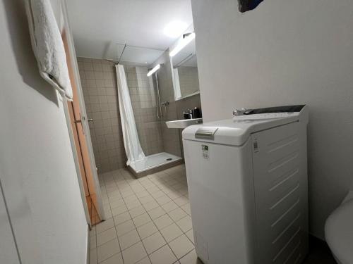 uma pequena casa de banho com WC e lavatório em The R Apartment Randen em Schaffhausen