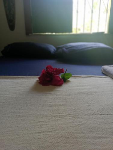 a red rose sitting on a bed at Casa Zohra in Itaparica