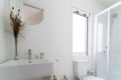 a bathroom with a sink and a toilet and a mirror at Club del Sole Romagna Family Resort in Riccione
