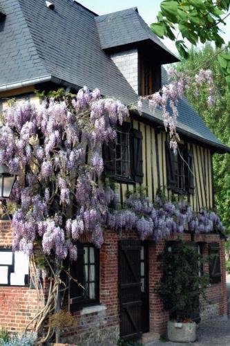 a house with a wreath of purple flowers on it at AUBERGE DU VAL AU CESNE in Croix-Mare