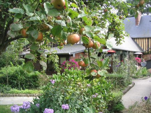 a garden with an apple tree in front of a house at AUBERGE DU VAL AU CESNE in Croix-Mare
