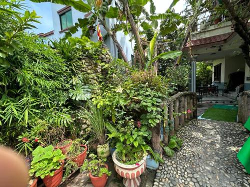 a garden with plants in pots on the side of a house at Nepal Bed and Breakfast in Kathmandu