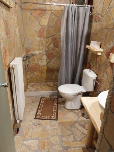a stone bathroom with a toilet and a shower at Vip Kalavrita in Kalavrita