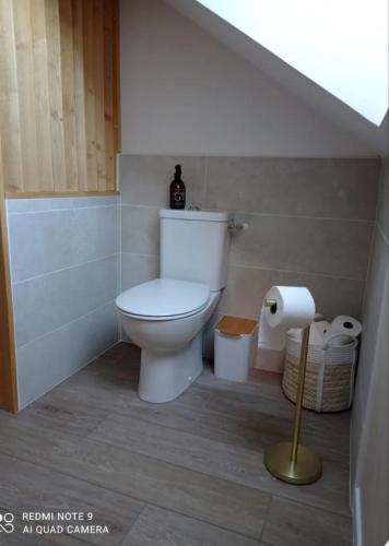 une salle de bain avec des toilettes et un rouleau de papier toilette dans l'établissement La Cosy, à Lancé