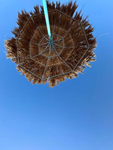 a close up of a brown umbrella in the sky at Porto Sharm 2024 in Sharm El Sheikh