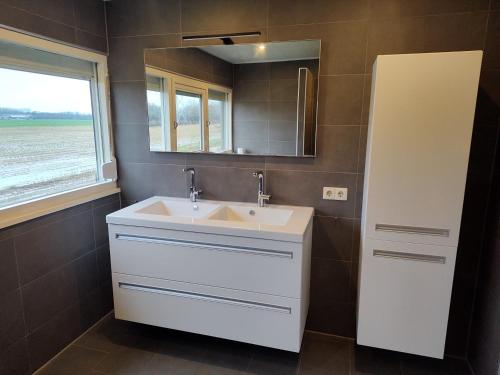 a bathroom with a white sink and a mirror at 8 person farmhouse with sauna in Toldijk