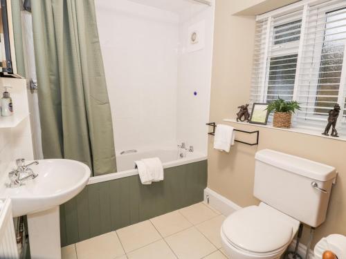 een badkamer met een wit toilet en een wastafel bij Cwm Caeth Cottage in Caernarfon