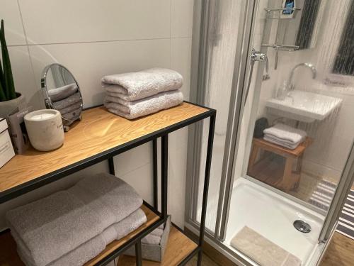La salle de bains est pourvue d'une douche, d'un lavabo et de serviettes. dans l'établissement Ferienwohnungen Mews, à Immenstadt