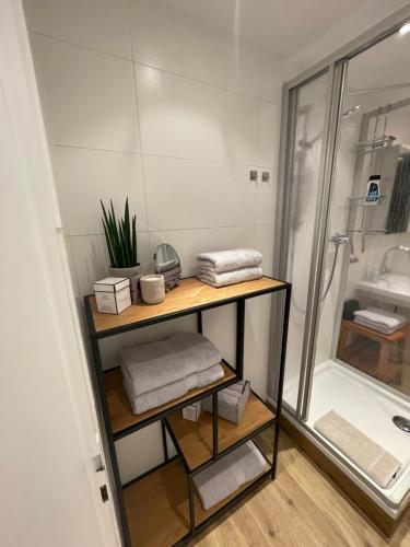 a bathroom with a shower and a shelf with towels at Ferienwohnungen Mews in Immenstadt im Allgäu