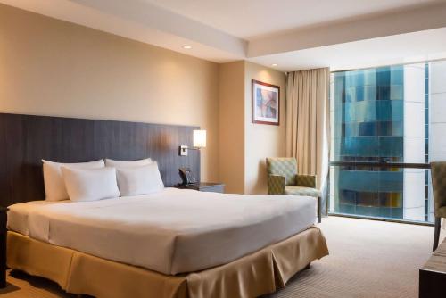 a hotel room with a large bed and a window at Hilton Mendoza in Mendoza