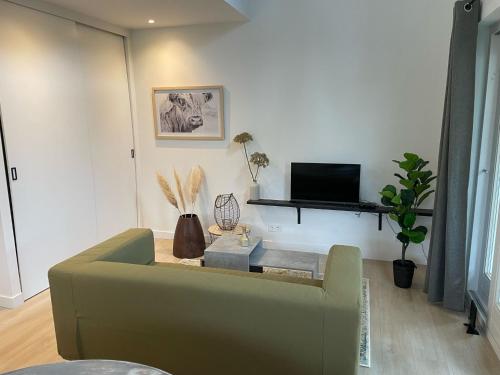 a living room with a green couch and a tv at Waltrilo in Waalre