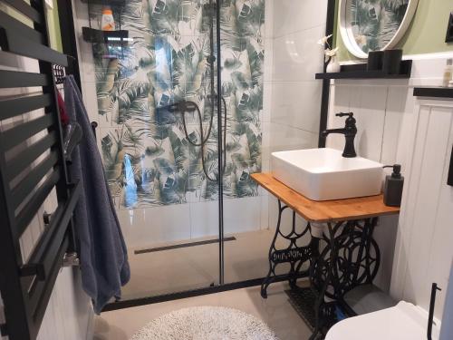 een badkamer met een wastafel en een douche bij Pokoje Gościnne Magnolia Rooms in Serock