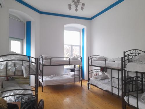 a room with a bunch of bunk beds at White city hostel in Baku