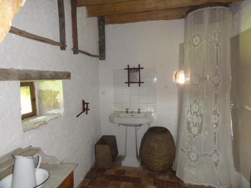 a bathroom with a sink and a shower curtain at Le Porteau Enchanteur in Sarzay