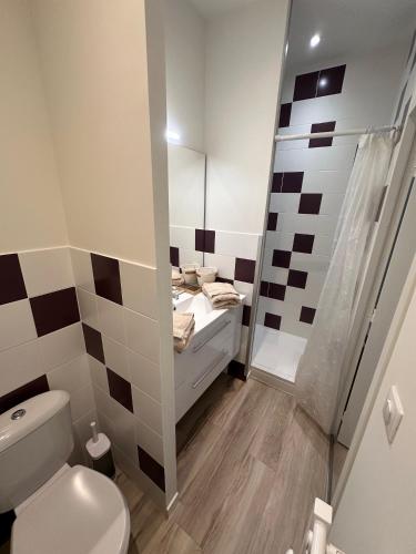 une salle de bain avec toilettes, lavabo et miroir dans l'établissement lamaisondemamere, à Tournon-sur-Rhône