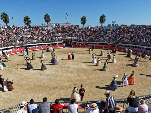 Photo de la galerie de l'établissement Appartement 2 pièces cabine rénové, RDC, terrasse 25m², piscines, à 400m de la plage, tout confort - FR-1-307-125, au Grau-du-Roi