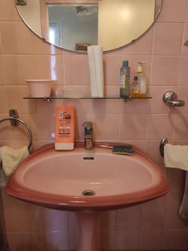 une salle de bain avec un lavabo rose et un miroir dans l'établissement Maison à 3 chambres, rustique, fraîche, entretenue, 15' zoo beauval commerces pharmacie route médiane, à Luçay-le-Mâle